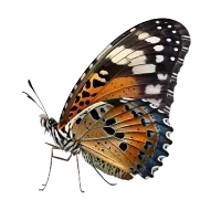 Naturheilpraxis