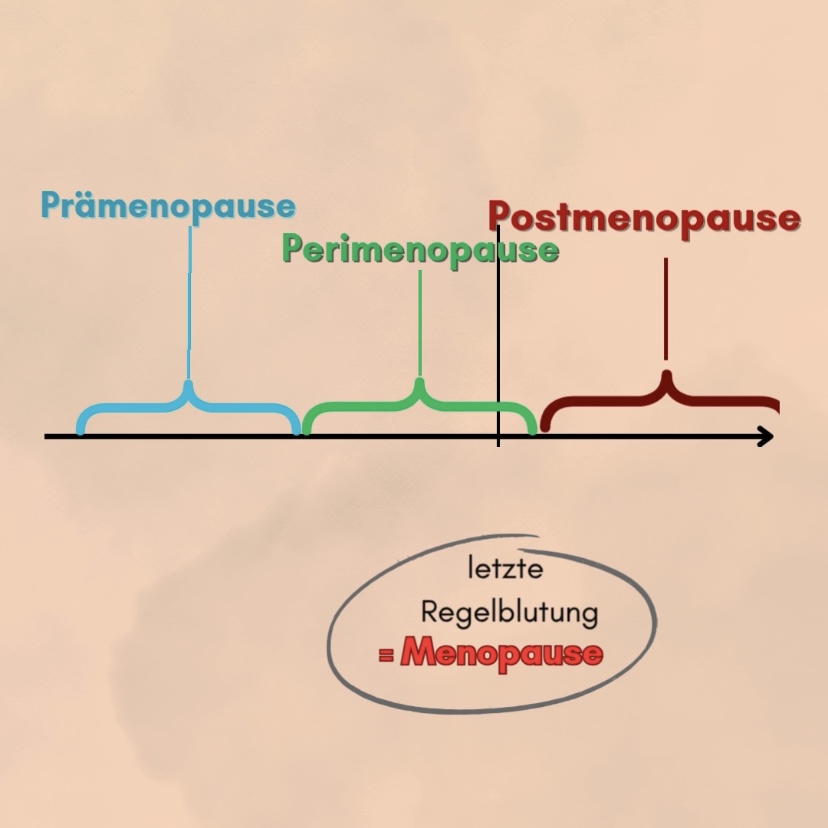 Grafik Menopause Phasen Prämenopause, Perimenopause, Postmenopause